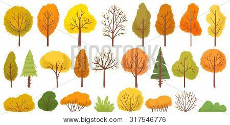 Yellow Autumn Trees. Colorful Garden Tree, Autumnal Garden Bush And Fall Season Tree Leaves. Forest 