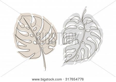 Exotic Monstera Continuous One Line Drawing Summer Tropical Leaf Hand Drawn On White Background Mini