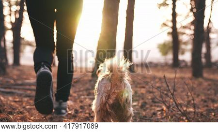 Hiker Feet Walking The Dog In The Park Forest. Travel Concept. Close-up Of A Leg Man Walking With Jo