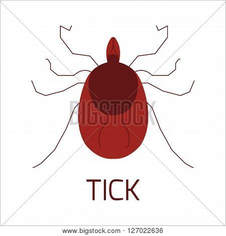 Tick bug icon design template. Mite. Isolated vector illustration. It can be used as a logo icon pictogram or an infographic element. Perfect for your design.