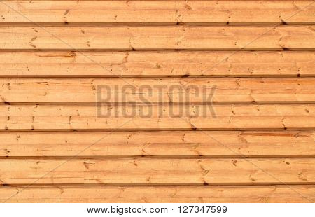 Unpainted Wooden Wall Texture