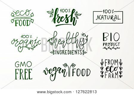 Hand Sketched Badges And Labels With Vegetarian, Vegan, Raw, Eco, Bio, Natural, Fresh, Gluten And Gm