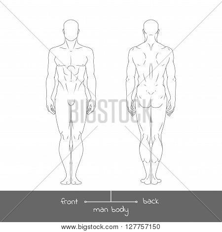 Healthy young man from front and back view. Male muscular body shapes outline vector illustration with the inscription: front and back. Vector illustration of a human figure in linear style