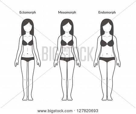 Female body types: Ectomorph Mesomorph and Endomorph. Skinny fit and overweight build. Fitness and health illustration.