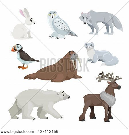 Cartoon Polar And Arctic Animals. Snowy Hear, Owl, Wolf, Puffin, Walrus, Ermine, Polar Bear And Rein