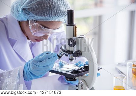 Woman Scientist In Lab Look At Science Microscope Medical Test And Research Biology Chemistry. Femal