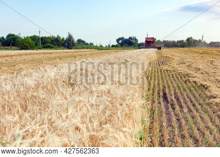 Wheat Harvesting On Field In Summer Season. Combine Harvester Harvests Ripe Wheat. Agriculture. Proc