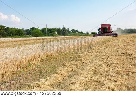 Wheat Harvesting On Field In Summer Season. Combine Harvester Harvests Ripe Wheat. Agriculture. Proc