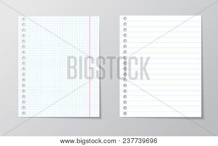 White Sheet Of Paper. School Notebook Paper Sheet. With Blue Line Book Page Background. School Note 