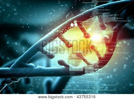 DNA molecule