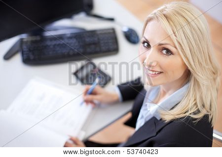 Beautiful Businesswoman Doing Finances