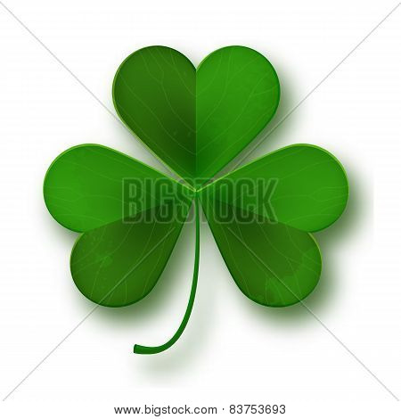 Saint Patricks Day Shamrock Leaf Symbol Isolated On White, Vector Illustration