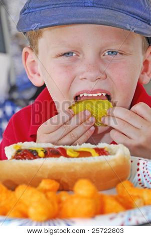 young boy enjoying lunch at patriotic picnic