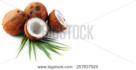 Coconut with coconuts palm tree leaf isolated on a white background. Border design. Wide angle. Fresh raw organic half of coco nut. Healthy Food, skin care concept. Vegan food