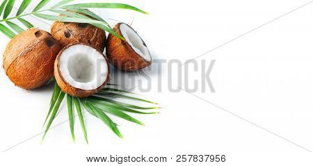 Coconut with coconuts palm tree leaf isolated on a white background. Border design. Wide angle. Fresh raw organic half of coco nut. Healthy Food, skin care concept. Vegan food