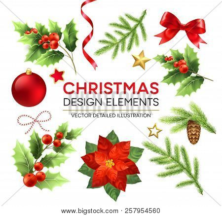 Christmas Design Elements Set. Xmas Decorations And Objects. Poinsettia, Fir Branch, Mistletoe Berri