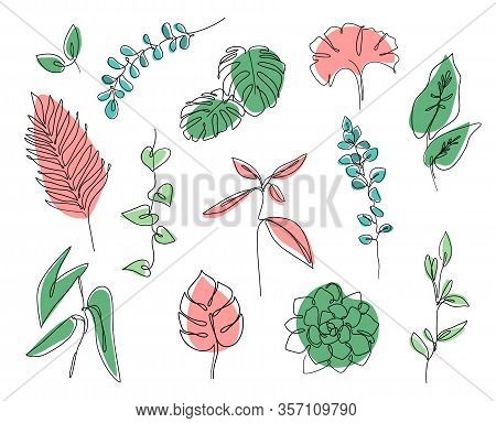 Continuous Line Leaves Print Tropical Palm, Eucalyptus, Monstera, Succulent, House Plants. Abstract 