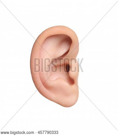 Human Ear Isolated On White. Organ Of Hearing And Balance