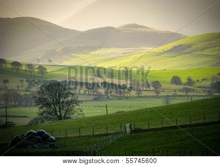 Rolling Rural Hills