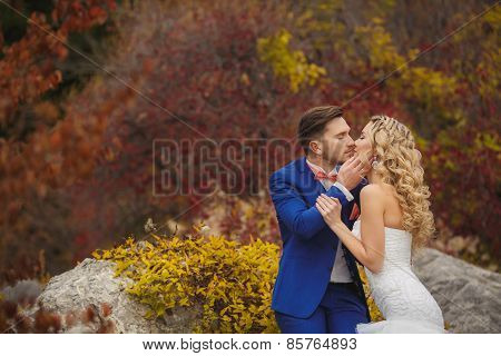 The groom kisses the bride in a green Park in the summer.