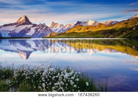 Great view of Bernese range above Bachalpsee lake. Dramatic and picturesque scene. Popular tourist attraction. Location place Swiss alps, Grindelwald valley, Europe. Artistic picture. Beauty world.