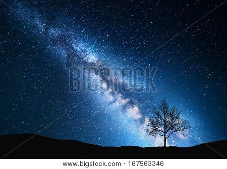 Milky Way And Tree On The Field