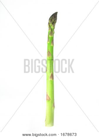 Asparagus