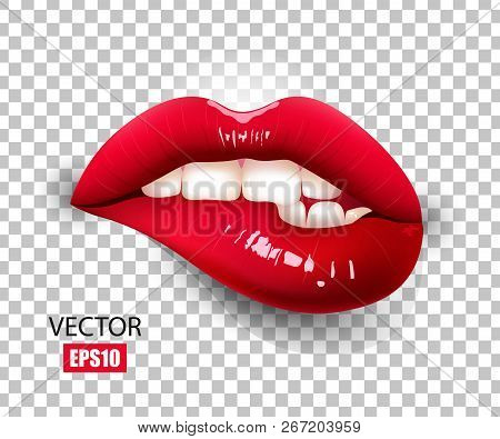 Beautiful Female Lips, Red Lipstick, Biting Lip, Sexy Lips. 3d Design. Vector Illustration.