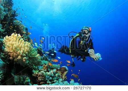 Scuba Diver and Coral Reef with Tropical Fish in the Red Sea