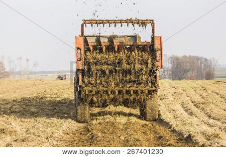 Late Autumn. Tractor With Trailer. Field Fertilized With Natural Manure. Cow Dung Mixed With Straw. 