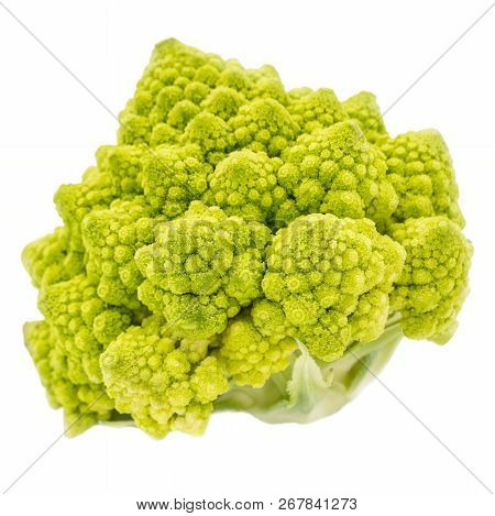 Romanesco Broccoli Isolated On White Background