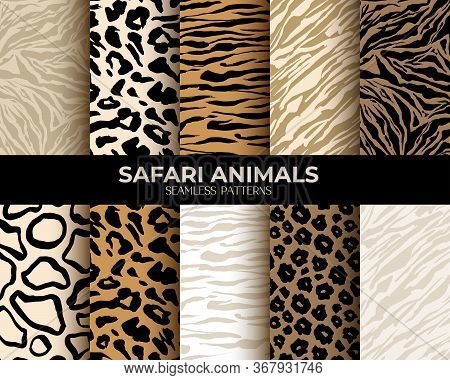 Animal Fur Print Seamless Patterns, Leopard, Tiger And Zebra Seamless Backgrounds, Vector Abstract T