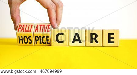 Palliative Or Hospice Care Symbol. Concept Word Palliative Care Hospice Care On Wooden Cubes. Doctor