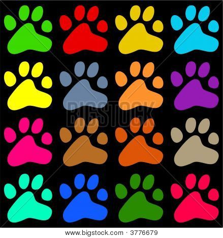 Colorful Paws