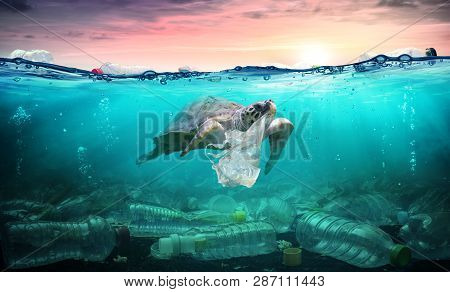 Plastic Pollution In Ocean - Turtle Eat Plastic Bag - Environmental Problem