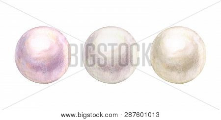 Pearl Set Shiny Natural Sea Nacreous Isolated On White Background. Watercolor Hand Drawn Realistic I