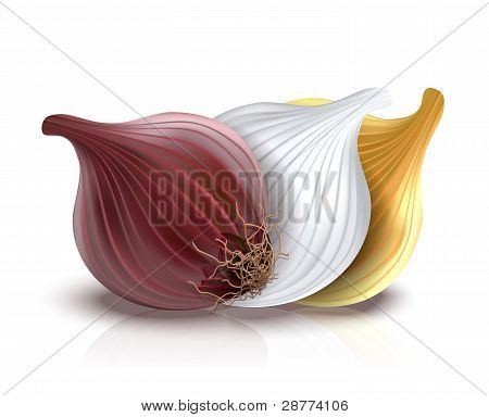 red, gold and white onions