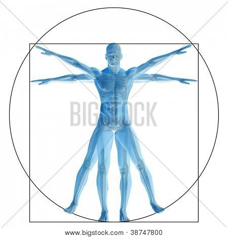 Hochauflösende vitruvianische Mensch oder Mann als Konzept, Metapher oder konzeptionelle 3d anatomie Körper für Biologie