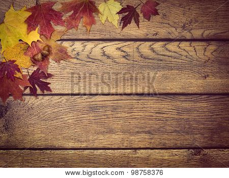 Autumn Leaves And Acorns On Rustic Wooden Background