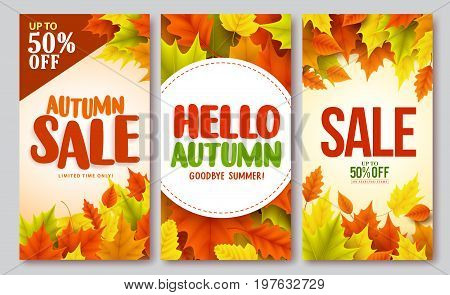 Autumn sale and hello autumn vector design set of posters and background for fall season with maple leaves. Vector illustration.