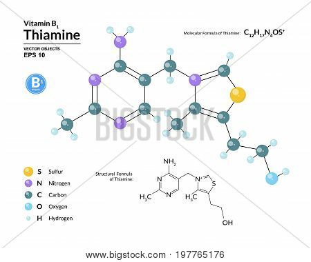 Structural chemical molecular formula and model of thiamine. Atoms are represented as spheres with color coding isolated on background. 2d or 3d visualization and skeletal formula. Vector illustration