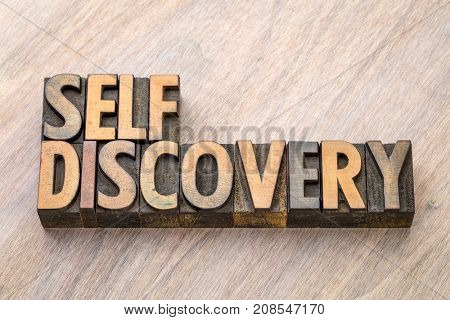 self discovery word abstract in vintage letterpress wood type printing blocks