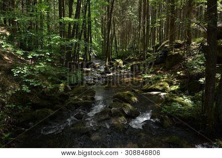 Reserve in the Czech Republic Vyssi brod. Beautiful waterfall on the Opatsky trail. waterfalls of St