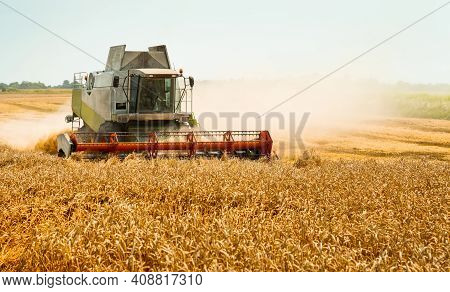 Rotary Straw Walker Cut And Threshes Ripe Wheat Grain. Combine Harvesters With Grain Header, Wide Ch