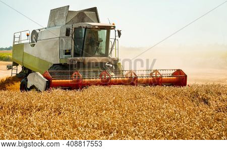 Rotary Straw Walker Cut And Threshes Ripe Wheat Grain. Man In Combine Harvesters With Grain Header, 