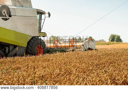 Rotary Straw Walker Cut And Threshes Ripe Wheat Grain. Combine Harvesters With Grain Header, Wide Ch