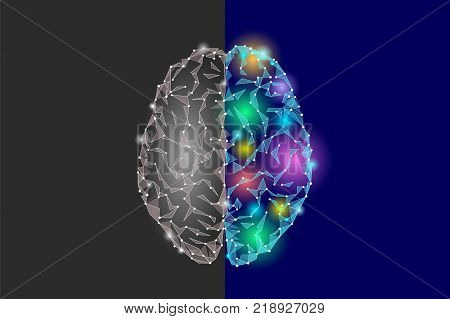 Creative and logic part brain. Analytics constructive artistic imagination hemisphere side mind function. Low poly polygonal point line bright blue gray abstract geometric vector illustration art