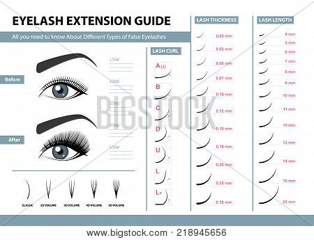 Eyelash extension guide. Different Types of False Eyelashes. Infographic vector illustration. Template for Makeup and cosmetic procedures. Training poster