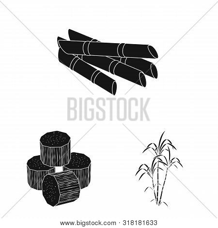 Vector Illustration Of Sucrose And Technology Symbol. Collection Of Sucrose And Cane Vector Icon For