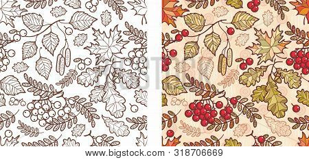 Autumn Leaves Seamless Pattern With Rowan, Maple, Birch And Oak. Fall Leaf Design.foliage Forest Lea